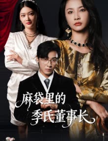 麻袋里的季氏董事长封面