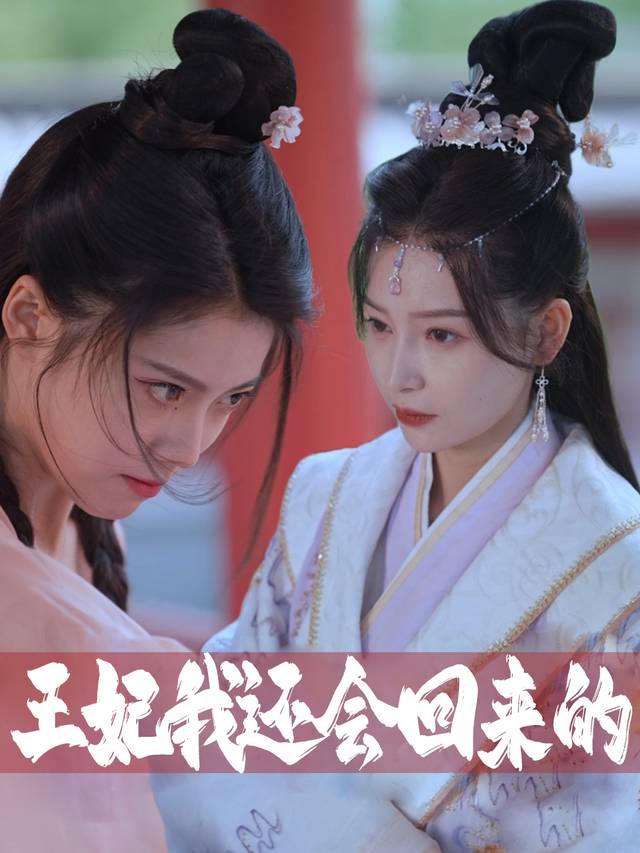 王妃我还会回来的封面