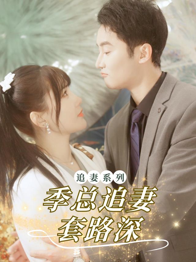 季总追妻套路深封面