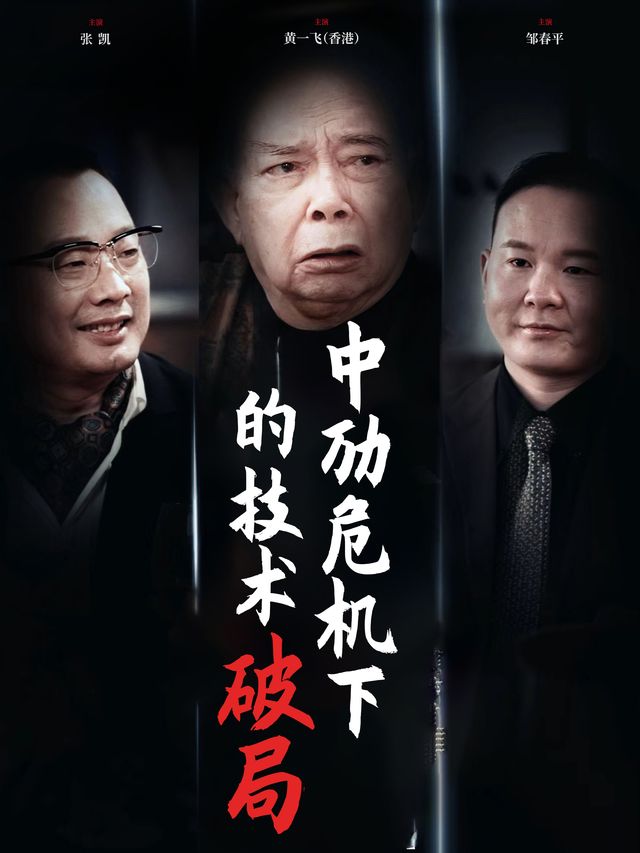 中劢危机下的技术破局封面