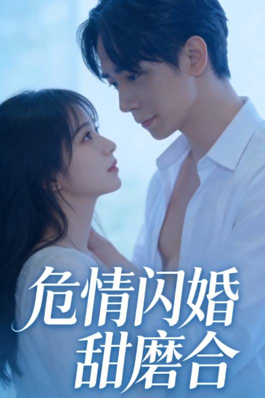 危情闪婚甜磨合封面