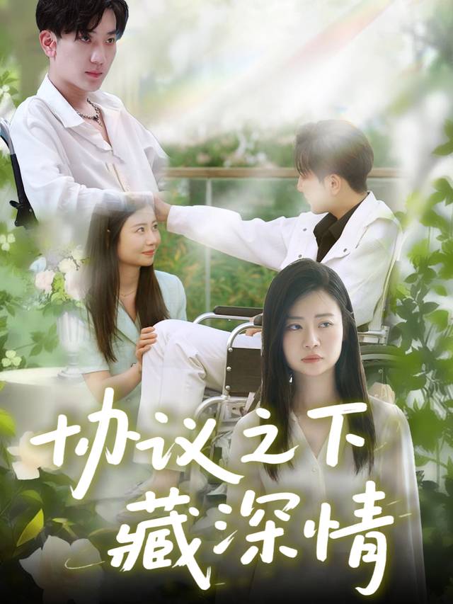 协议之下藏深情封面