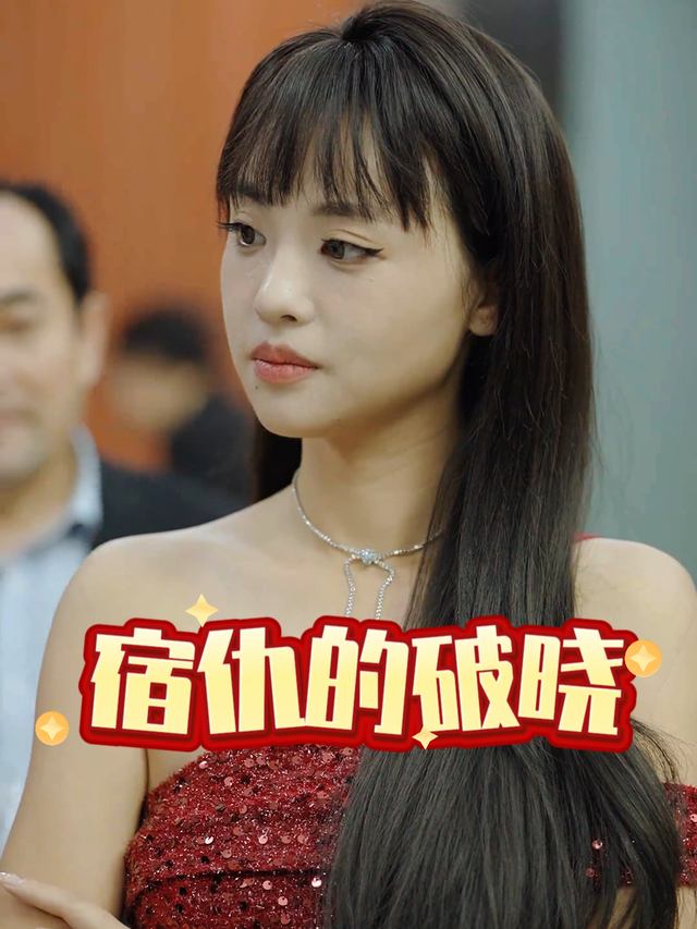 宿仇的破晓封面