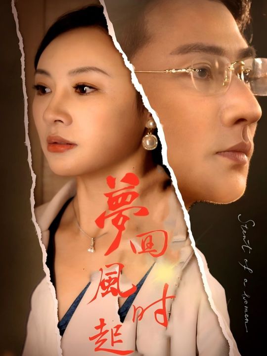 梦回风起时封面