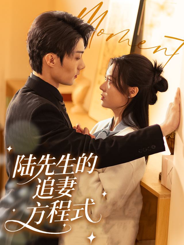 陆先生的追妻方程式封面