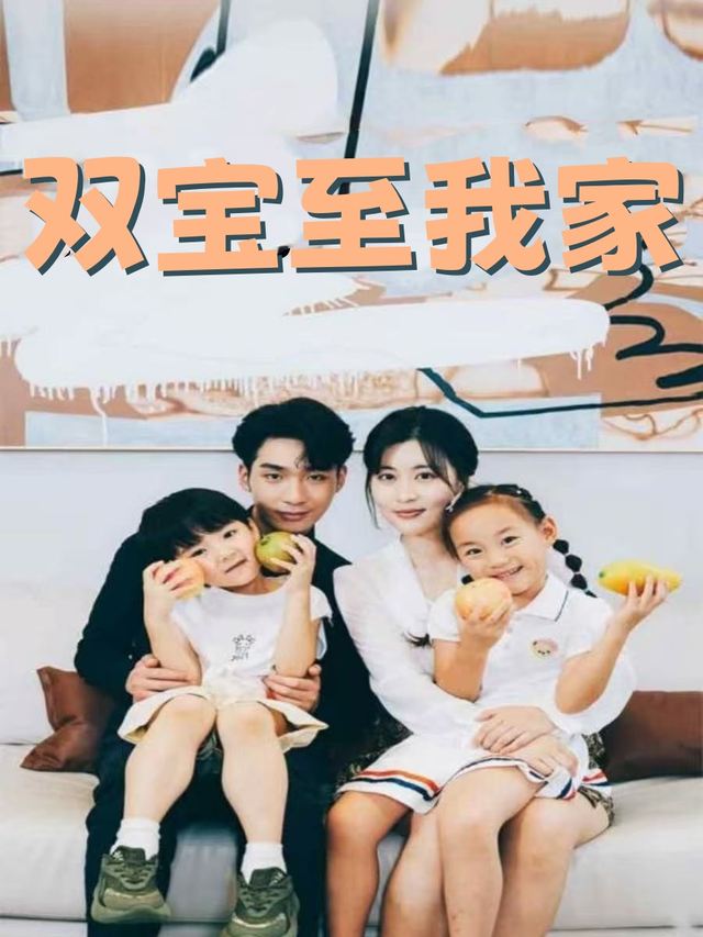 双宝至我家封面