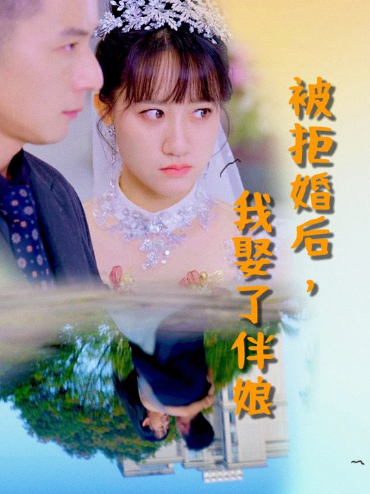 被拒婚后,我娶了伴娘封面