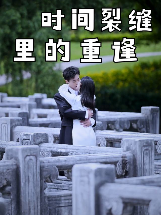 时间裂缝里的重逢封面