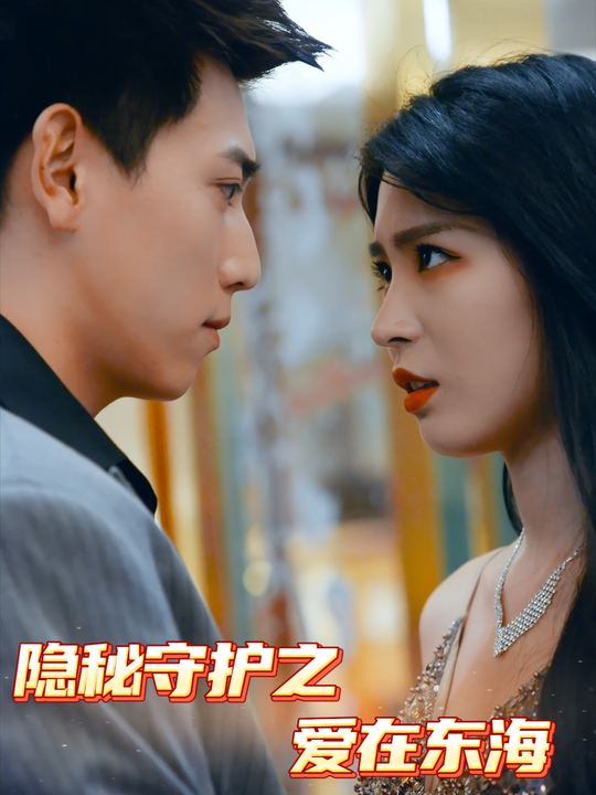 隐秘守护之爱在东海封面