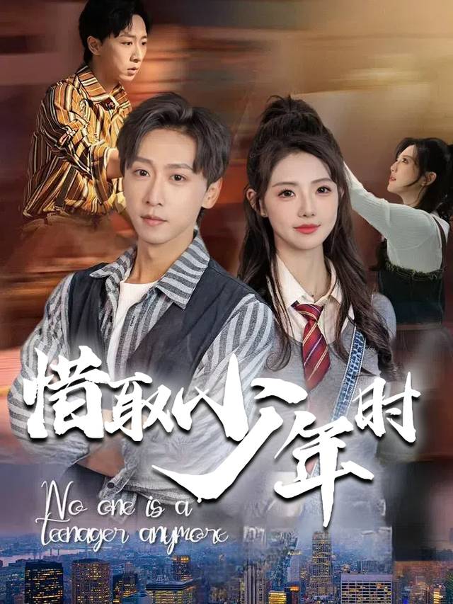 惜取少年时封面
