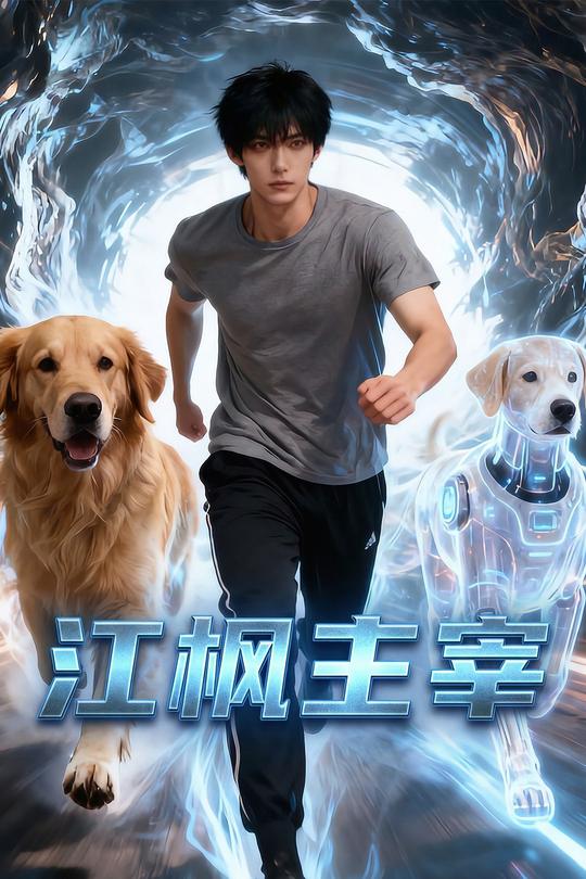 江枫主宰封面