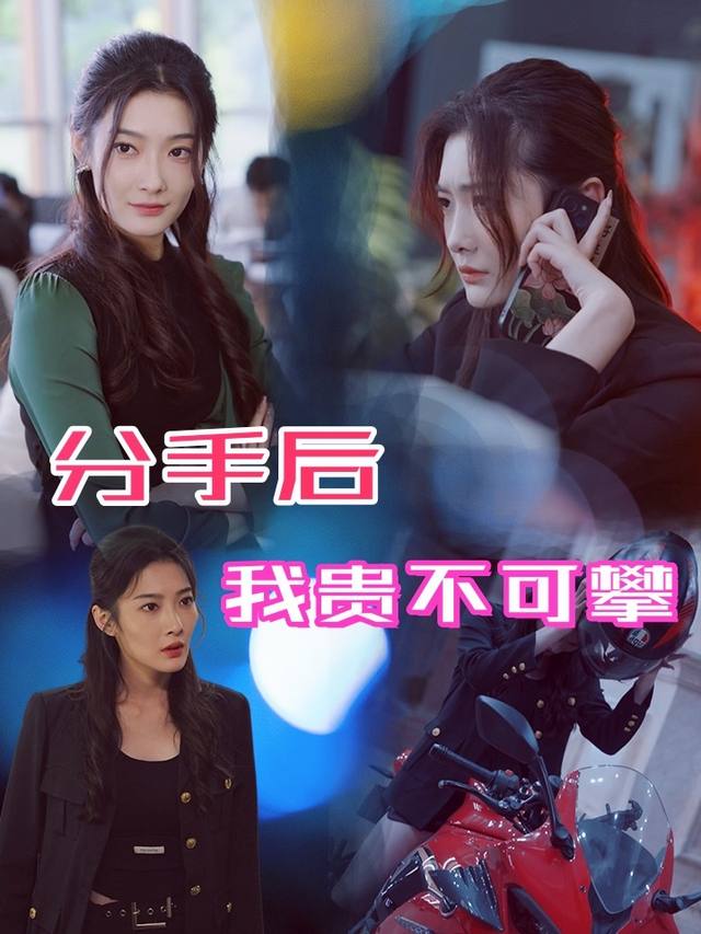 分手后我贵不可攀封面