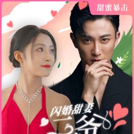 闪婚甜妻求放过封面