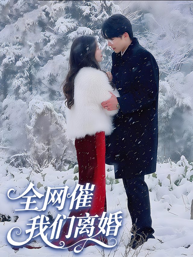 全网催我们离婚封面