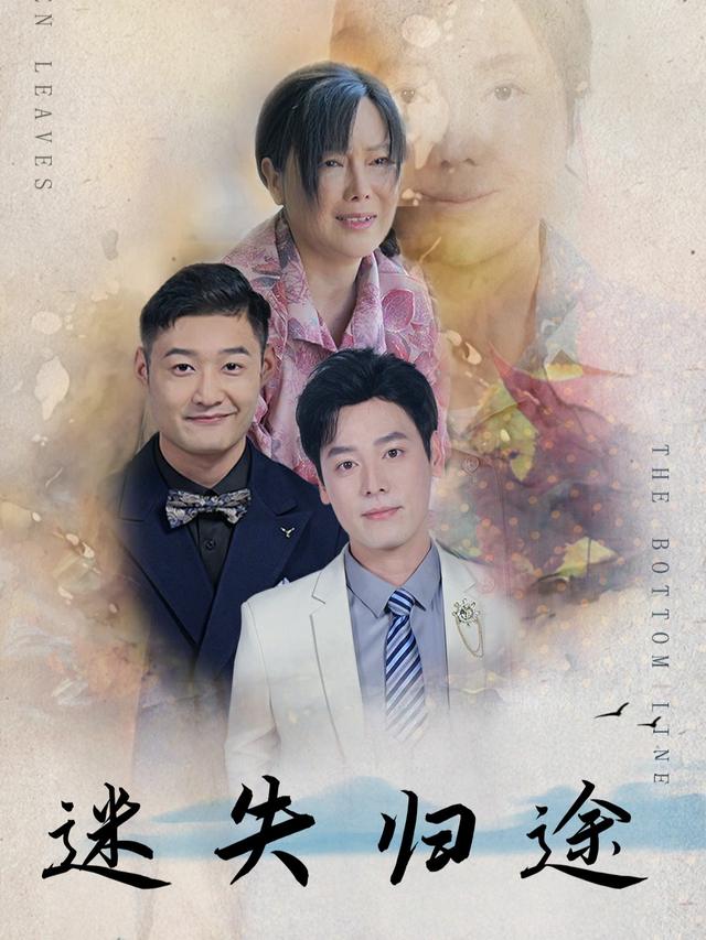 迷失归途封面