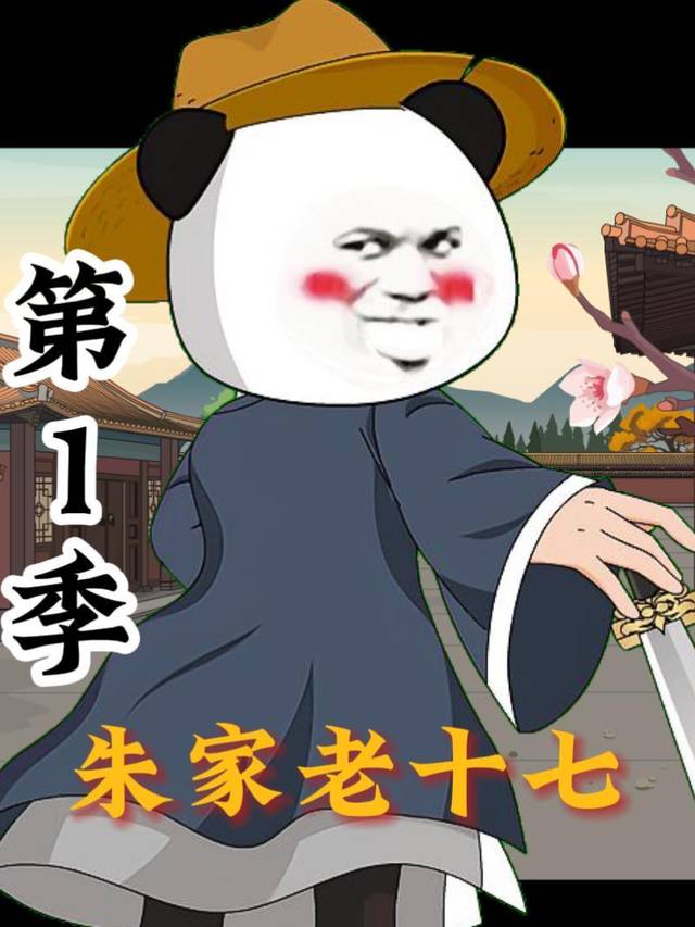 朱家老十七封面