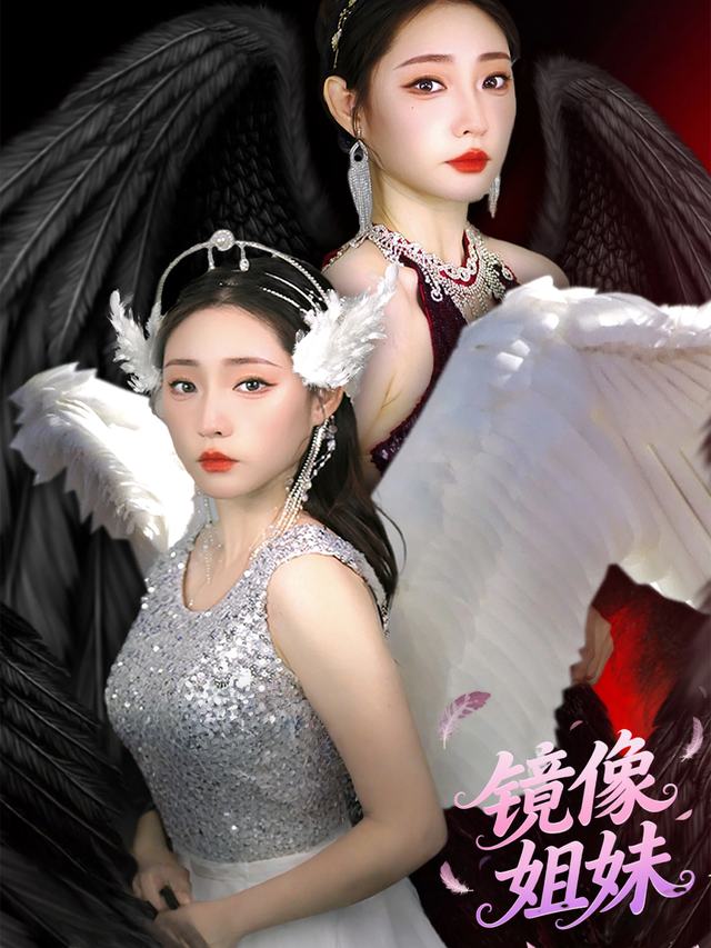 镜像姐妹封面