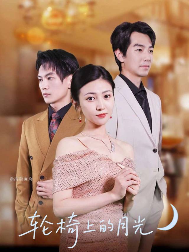 轮椅上的月光封面