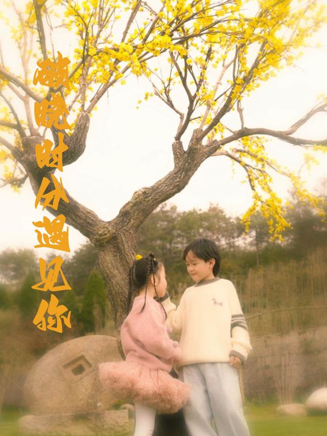 破晓时分遇见你封面