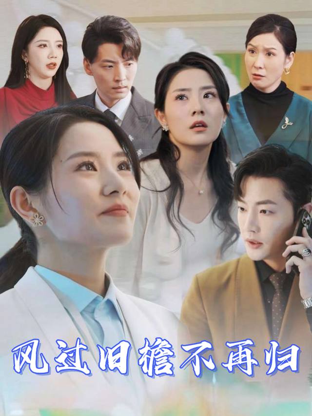 风过旧檐不再归封面