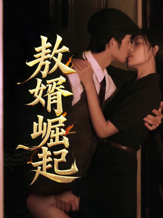 敖婿崛起封面