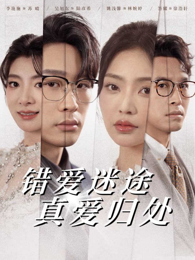 错爱迷途,真爱归处封面