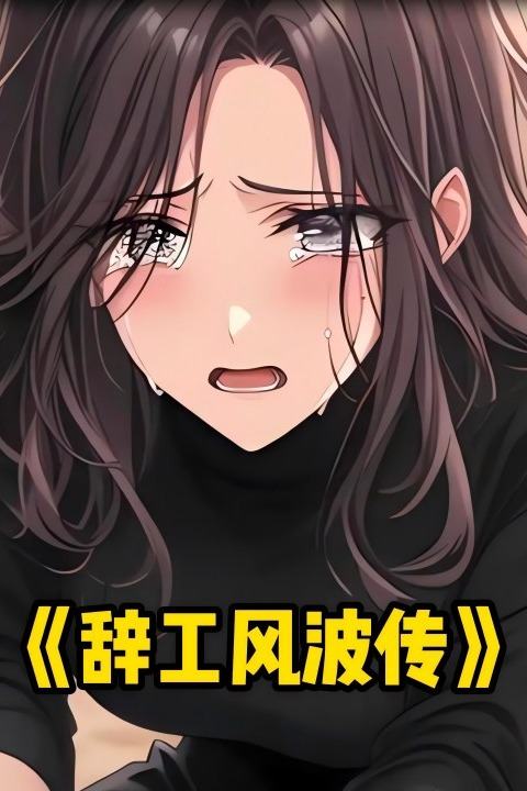 辞工风波传封面
