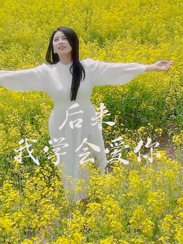 后来我学会爱你封面