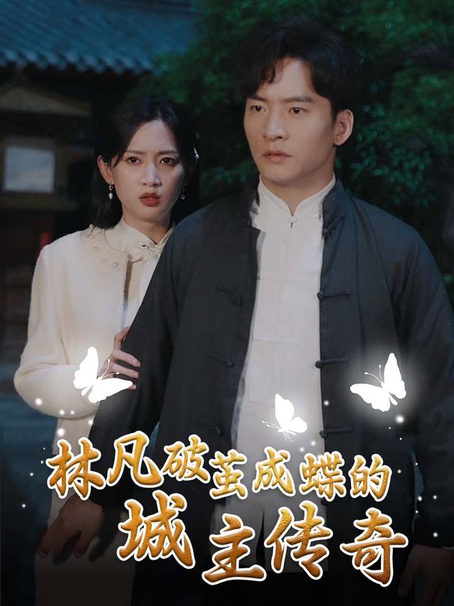 林凡破茧成蝶的城主传奇封面