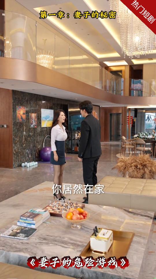 妻子的危险游戏封面