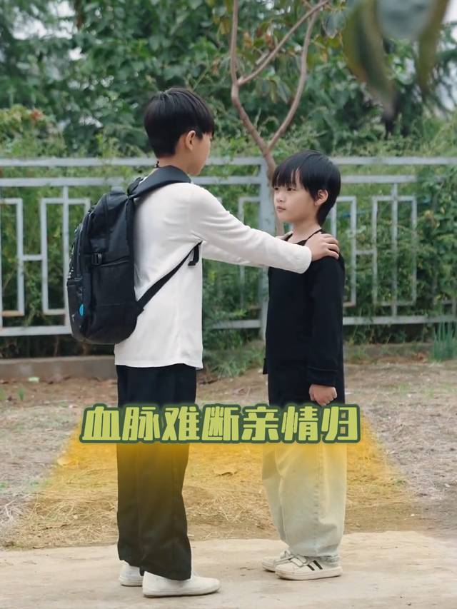 血脉难断亲情归封面
