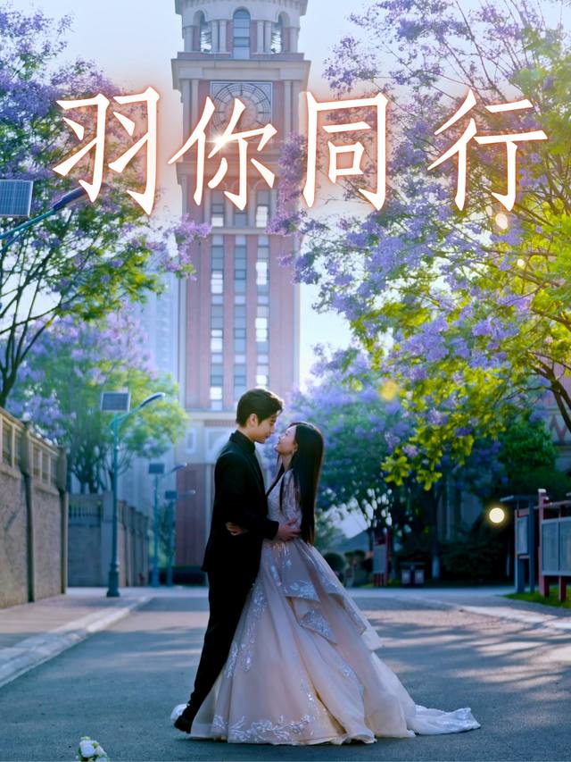 羽你同行封面