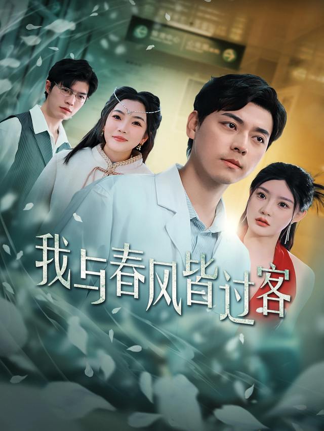 我与春风皆过客封面