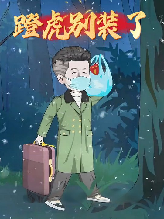 蹬虎别装了封面