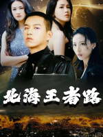北海王者路封面