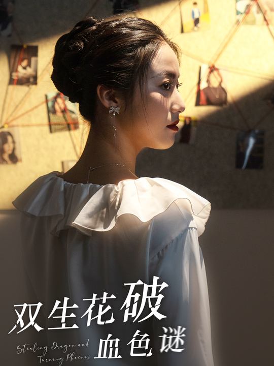 双生花破血色谜封面