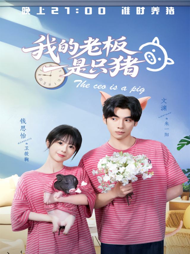 我的老板是只猪封面