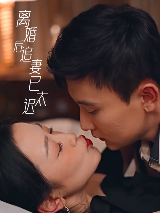 离婚后追妻已太迟封面