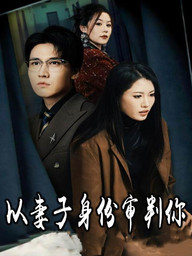 以妻子身份审判你封面