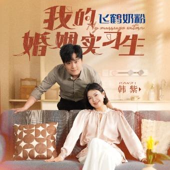 我的婚姻实习生封面