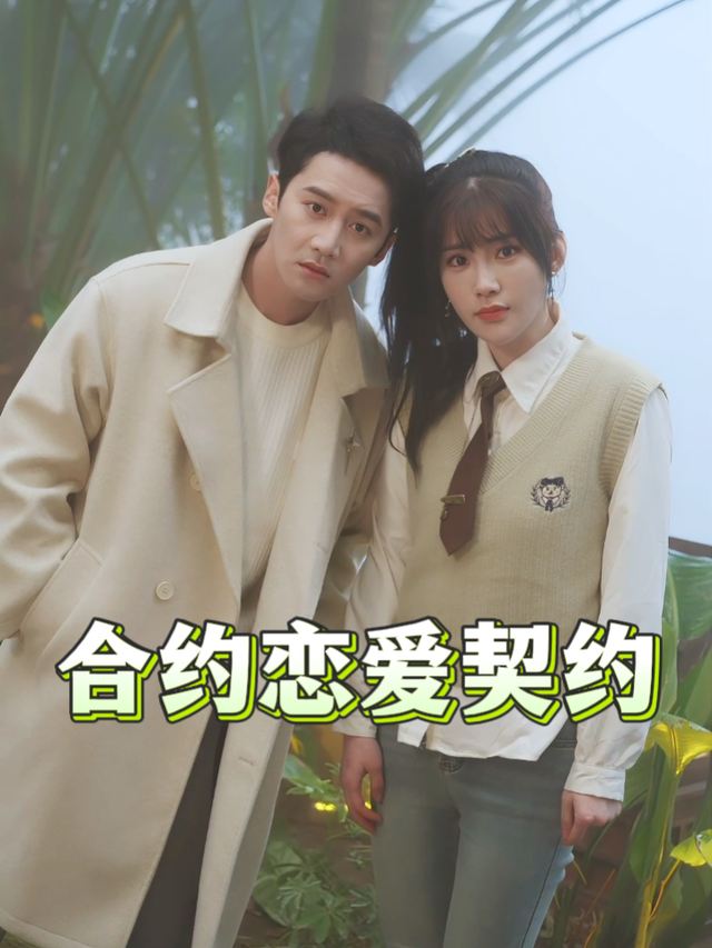 合约恋爱契约封面