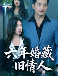 六年婚藏旧情人封面