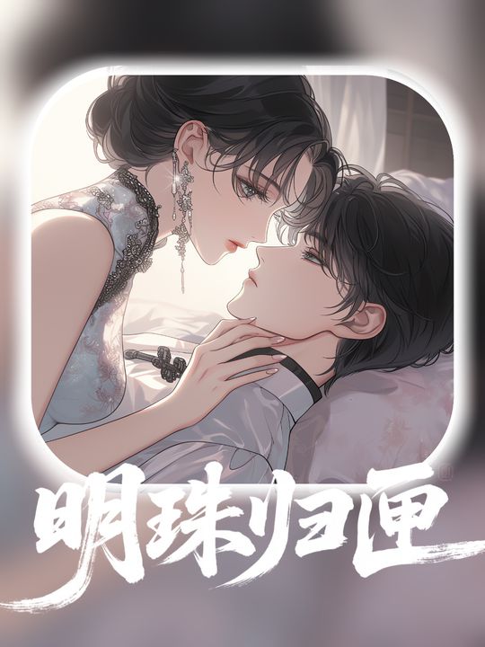 明珠归匣第一季封面