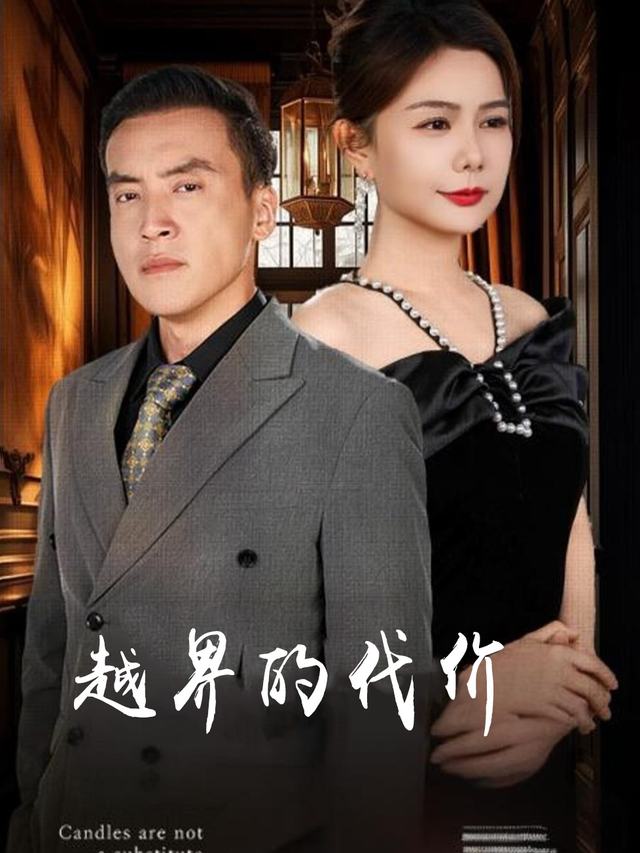 越界的代价封面