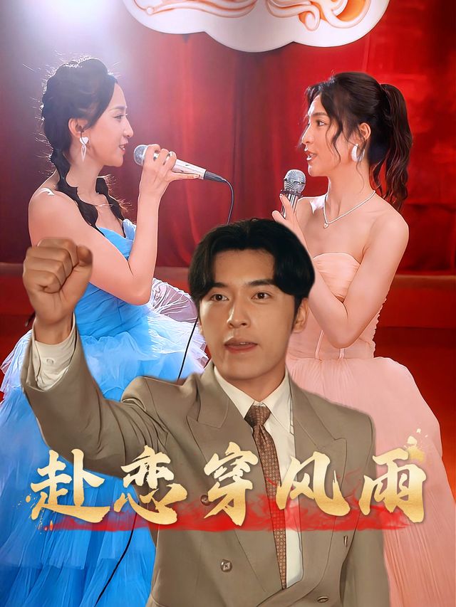 赴恋穿风雨封面
