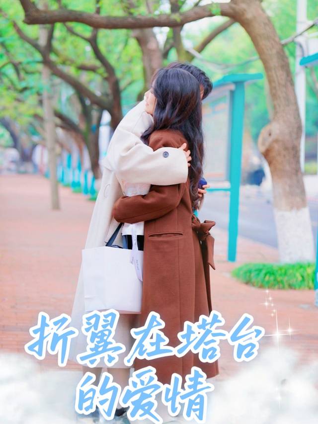 折翼在塔台的爱情封面