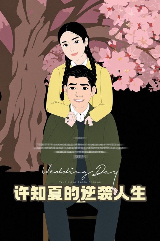 许之夏的逆袭人生封面