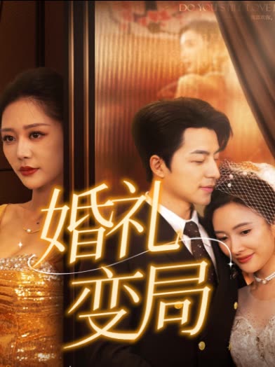 婚礼变局封面