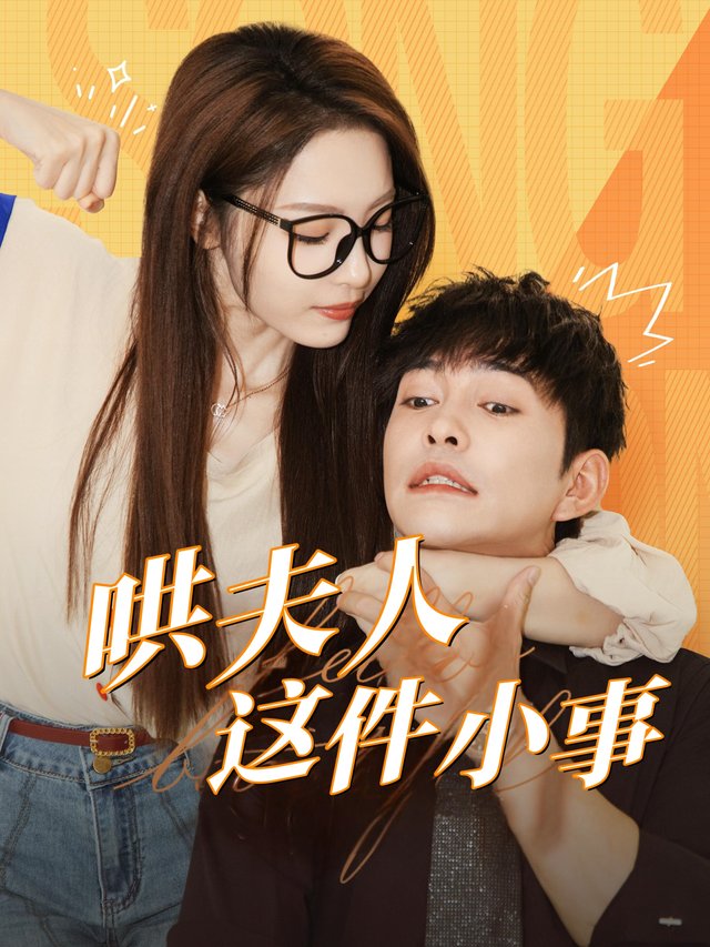 哄夫人这件小事封面
