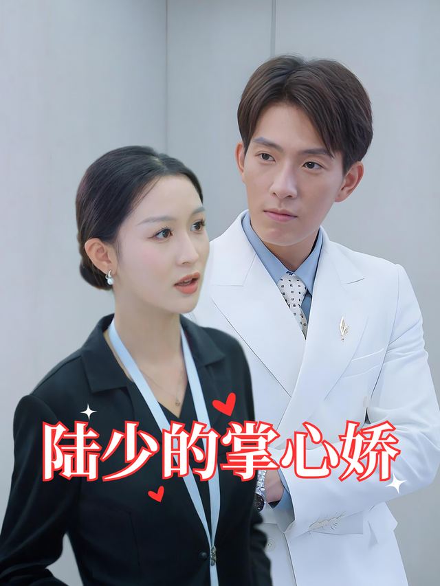陆少的掌心娇封面